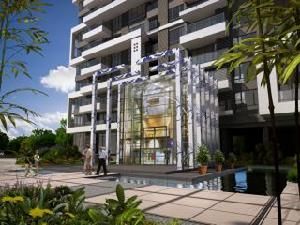 東渡青築 東渡青築