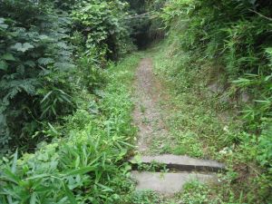 板坑嶺古道 板坑嶺古道