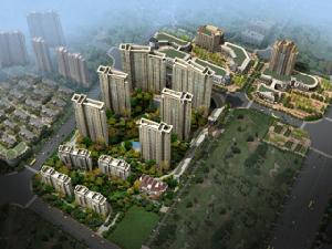 商城鳳凰印象 商城鳳凰印象