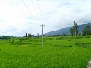 （圖）荷花傣族佤族鄉