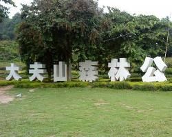 大夫山森林公園 大夫山森林公園