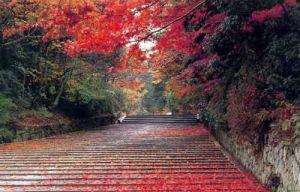 棲霞風景區 棲霞風景區