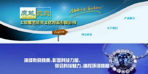 太原魔筆貝貝文化用品有限公司 太原魔筆貝貝文化用品有限公司