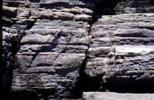 新生斷層 新生斷層