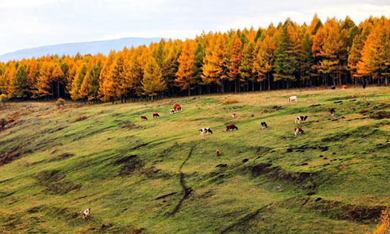 9月，中國這些地方將美成童話！