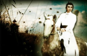 劉松仁版張丹楓