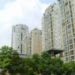 金鼎灣二期 金鼎灣二期