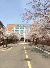 京仁教大校徽及校園