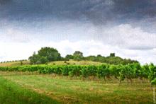 羅鼐城堡及聖·田修道院酒堡