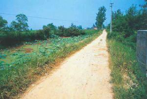 雞叫城遺址 雞叫城遺址