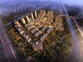 金科江湖海 金科江湖海