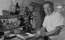 沃納&middot;福斯曼