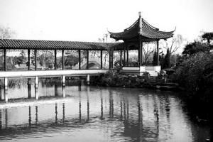 公墓減壓游 公墓減壓游