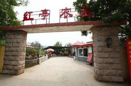 紅亭農莊 紅亭農莊