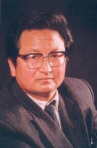 丁文[茶文化專家]