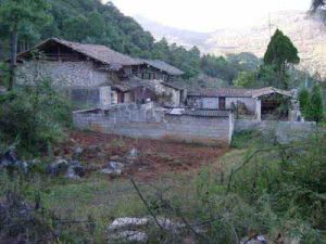 白菜村自然村 白菜村自然村