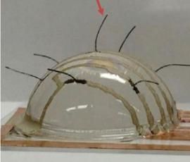 電子鬍鬚 電子鬍鬚