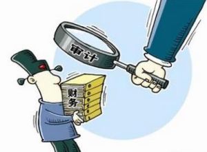 績效審計 績效審計