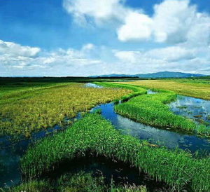 長沙貢瑪國家級自然保護區 長沙貢瑪國家級自然保護區