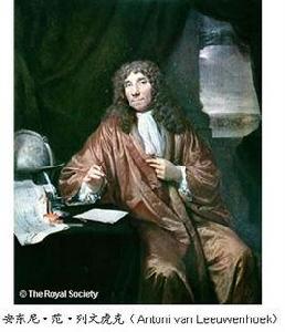 安東·列文虎克 安東·列文虎克