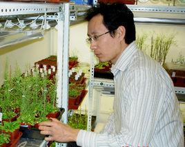 郭紅衛[中國北大 - 清華生命科學聯合中心研究員]