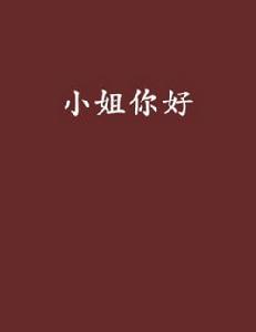 小姐你好[小說]