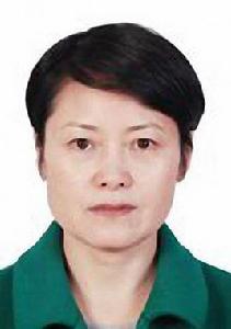 陳英傑[河南省舞鋼市委書記]