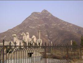 徐懋公墓 徐懋公墓