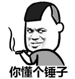 你懂個錘子 你懂個錘子