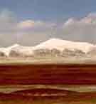 青海可可西里自然保護區 青海可可西里自然保護區