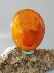 中間紅色為水膽部分，其中含水。