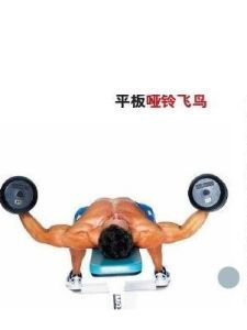 啞鈴飛鳥 啞鈴飛鳥