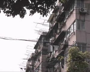 虹園八村 虹園八村