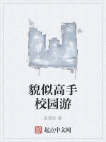 貌似高手校園游