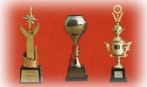 陝西神果股份有限公司