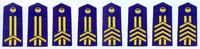 解放軍空軍軍士長肩章(1993～1999)