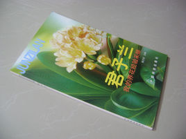 君子蘭:我的養花經驗採擷 君子蘭:我的養花經驗採擷