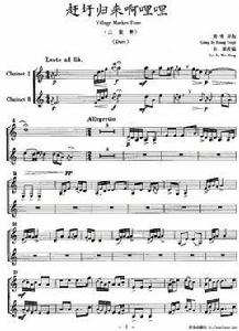 趕圩歸來啊哩哩[唐佩珠演唱歌曲]