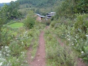 吾孫吾村 吾孫吾村