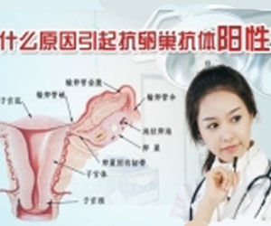 抗卵巢抗體陽性 抗卵巢抗體陽性