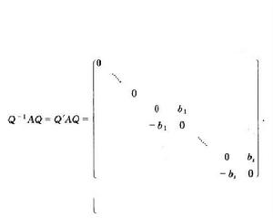 實反對稱矩陣 實反對稱矩陣