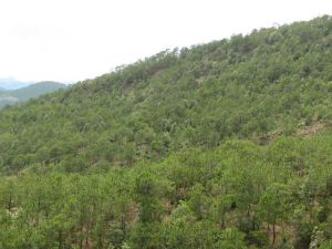 小里車村 小里車村