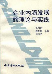 企業內涵發展的理論與實踐