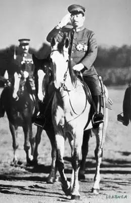 腰懸軍刀的裕仁天皇，著軍服時，九四式軍刀的第二佩環是無用的，因此被取下。裕仁身高不足160cm，因此顯得刀身很長