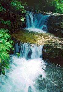 紫林山國家森林公園