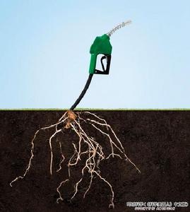 纖維素質生物燃料