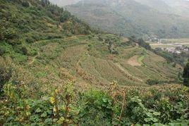 洗馬塘村[雲南省昆明五華區沙朗鄉龍慶村委會洗馬塘村]