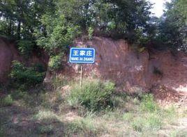 王家莊村[青海省西寧市城東區火車站街道王家莊村]