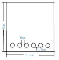 單向定量免疫電泳
