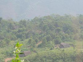 作房上寨村 作房上寨村